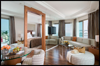 ������ ���� ����� �� ����